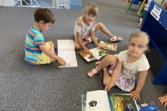 Bibliotheque-MS-GS_04