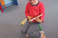 Bibliotheque-MS-GS_13
