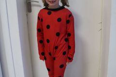 Carnaval-Sylvie-1_18
