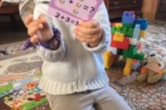 sophie-4