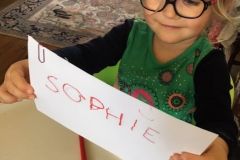 SOPHIE-1