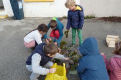 Anne-Laure-2