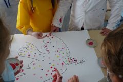 les-colombes-5