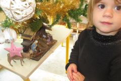 1_sapin-tps-ps_31