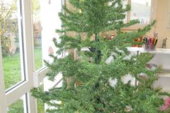 sapin-tps-ps-1
