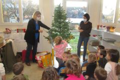 sapin-tps-ps_03-1