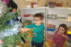 sapin-tps-ps_16-1