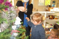 sapin-tps-ps_18-1