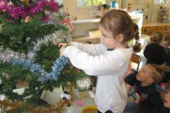 sapin-tps-ps_20-1