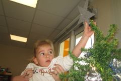 sapin-tps-ps_24-1