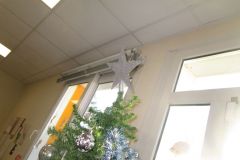 sapin-tps-ps_25-1