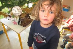sapin-tps-ps_26-1