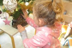 sapin-tps-ps_27-1