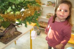 sapin-tps-ps_28