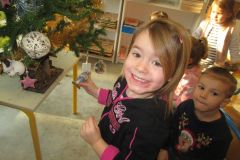 sapin-tps-ps_29