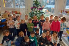 sapin-tps-ps_33