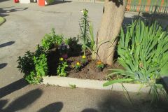 Plantations-1_02