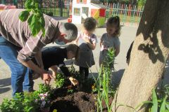 Plantations-1_10