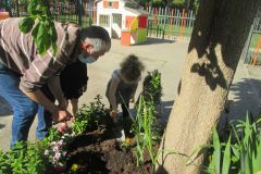 Plantations-1_11