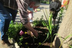Plantations-1_12