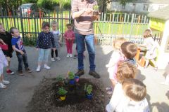 Plantations-1_13