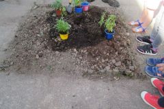 Plantations-1_14