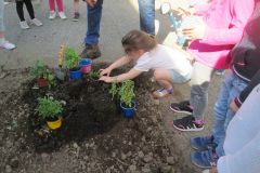 Plantations-1_15