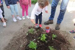 Plantations-1_19