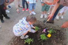 Plantations-1_20