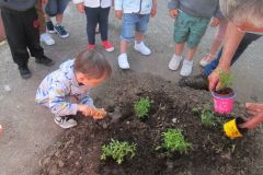 Plantations-1_21