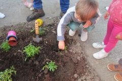 Plantations-1_22