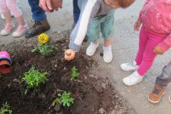 Plantations-1_23