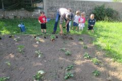 Plantations-1_24