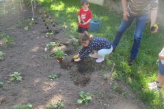 Plantations-1_26