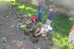 Plantations-1_27