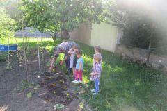 Plantations-2