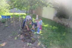 Plantations-2_03