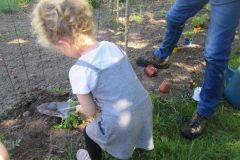 Plantations-2_09