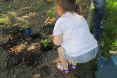 Plantations-2_10