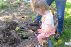 Plantations-2_11
