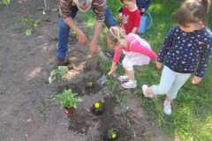 Plantations-2_17
