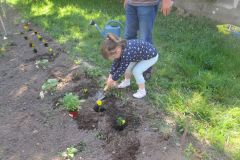 Plantations-2_19