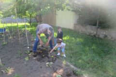 Plantations-2_25
