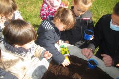 POTAGER-TPS-PS_06