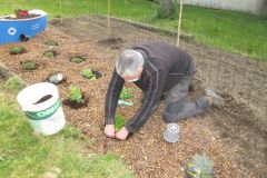 POTAGER-TPS-PS_14