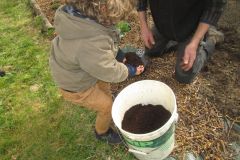 POTAGER-TPS-PS_15