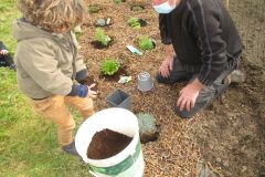 POTAGER-TPS-PS_16