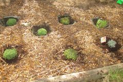 POTAGER-TPS-PS_19