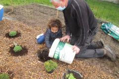 POTAGER-TPS-PS_25