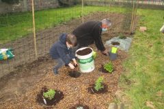 POTAGER-TPS-PS_29